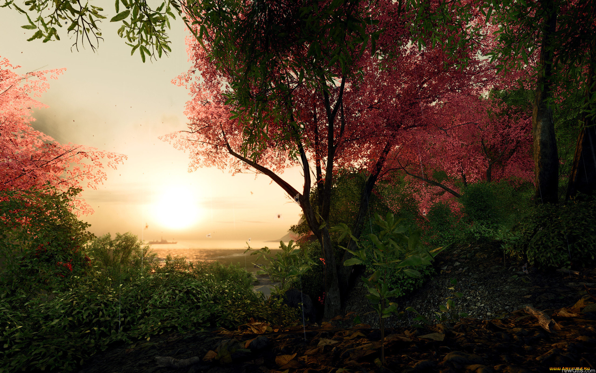 3, , nature, landscape, 